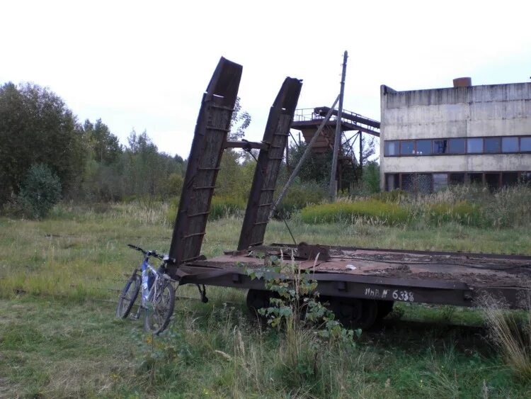 Долгуша Шатурский район. Поселок Долгуша Шатурский район. Долгуша Шатура. Шатура поселок Долгуша. Погода в шатуре часы