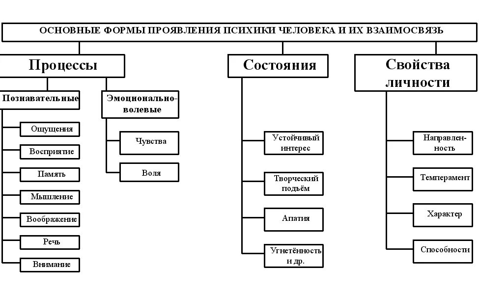 Структура ощущения. Формы проявления психики человека таблица. структура психики человека психология схема. схема формы проявления психики человека. основные формы проявления психики человека и их взаимосвязь.