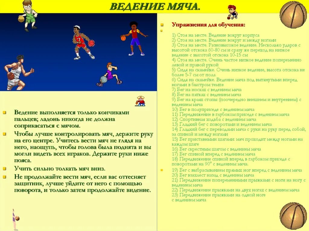 Ведение баскетбольного мяча конспект. Ведение в баскетболе. введение мяча с изменением направления. ведение баскетбольного мяча на месте.