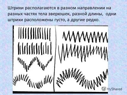 Скуф чечик штрих