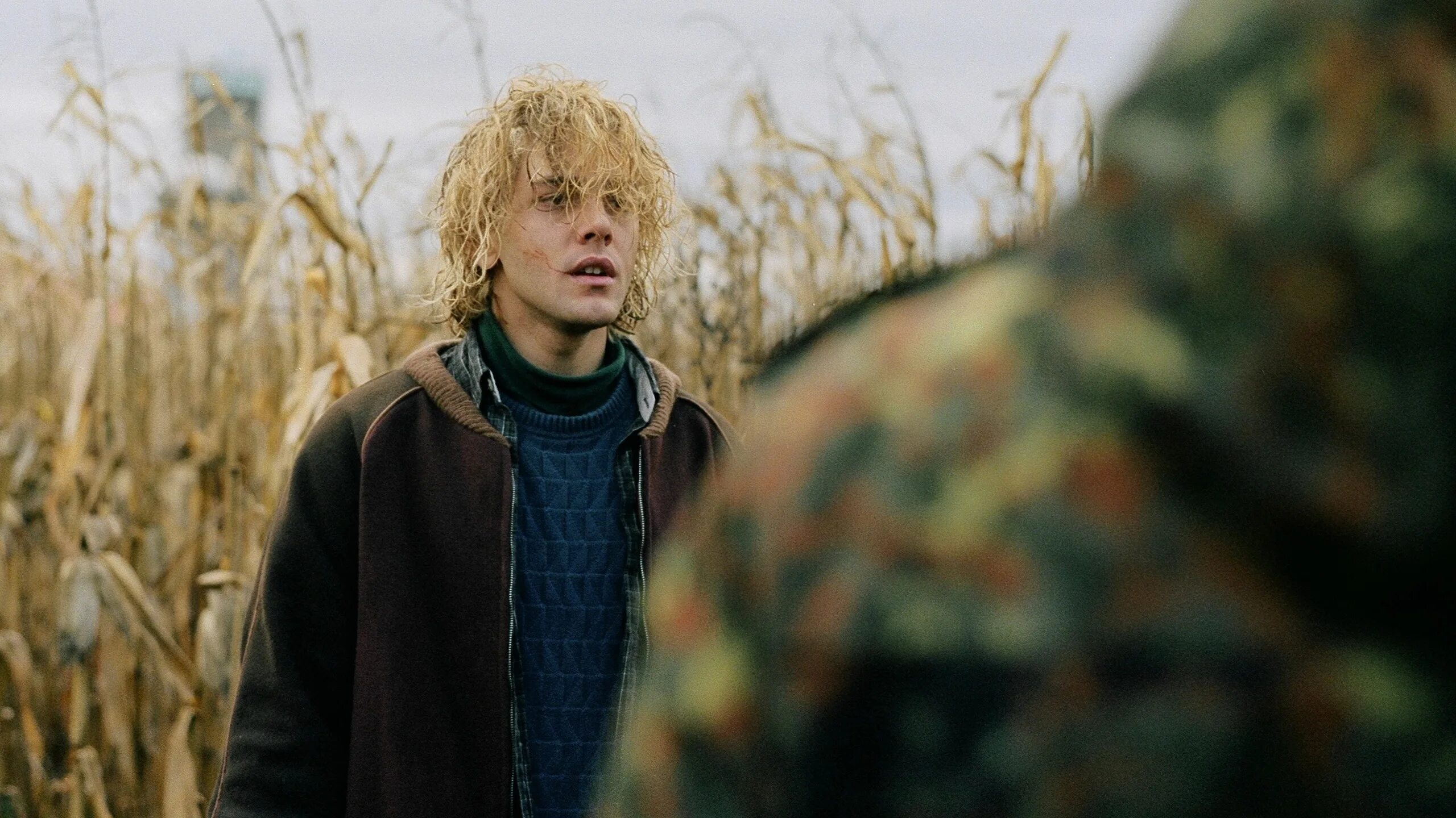 Том на ферме отзывы. Том на ферме фрэнсис. Том на ферме фрагменты. Том на ферме отзывы. Том на ферме отзывы.