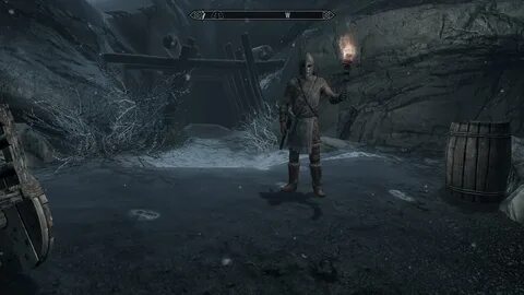 Skyrim engine
