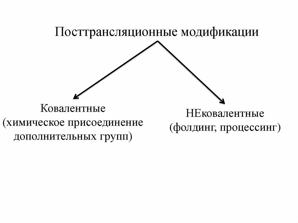 Регуляция активности ферментов ковалентная модификация. Посттрансляционные модификации белков. Посттрансляционная модификация белков биохимия. Пост-трансляционная модификация белков. Посттрансляционные модификации белков фолдинг.