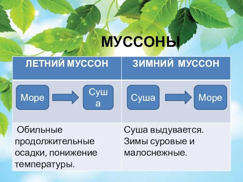 Муссонами является. Ветер география 6 класс презентация. Презентация по теме ветер. Презентация по географии на тему ветер 6 класс. Муссоны презентация.