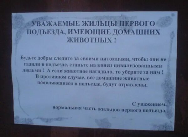 Объявления в подъезде. Гадят в подъезде объявления. Объявление о животных в подъезде. Кормление кошек у подъезда. Прикольные объявления в подъезде.