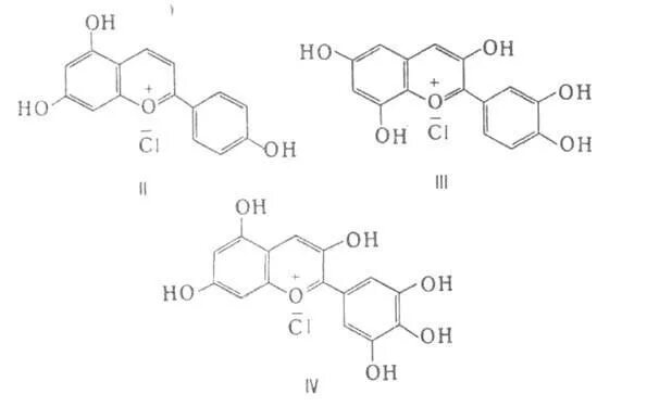 Накопление водорастворимых пигментов антоцианов присоединение молекулы. Антоциан формула химическая. Строение антоцианов. Антоцианы структура. Схема экстракции антоцианов.