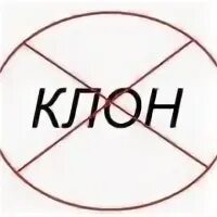 Клон страницы. Клон вк. клон страницы в вк. страницы клоны.