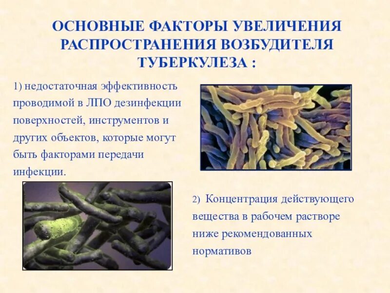 Распространение туберкулеза. Факторы передачи туберкулеза. факторы передачи возбудителя туберкулеза. основные факторы передачи возбудитель туберкулеза. пути и факторы передачи туберкулеза.