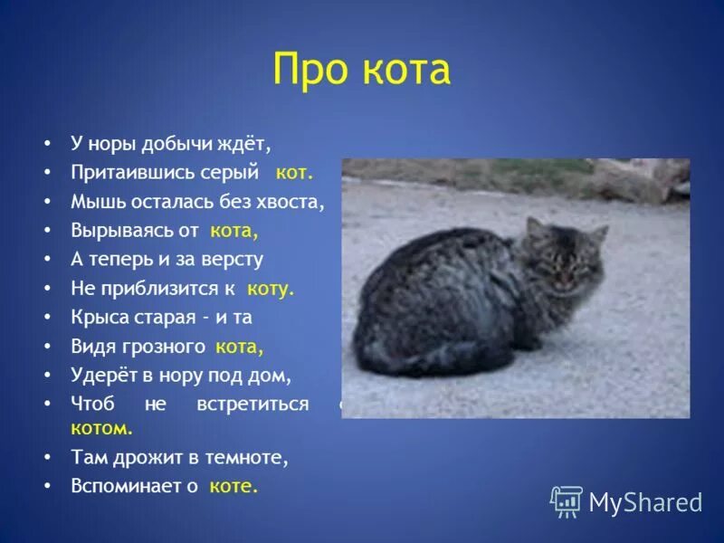 у норы добычи ждет притаившись серый