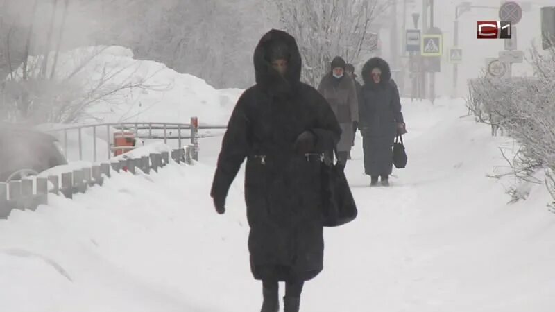 Актировка сургут сегодня 1 смена. Актировка мегион. с1 сургут актировка. актировка для 2 класса сургут. актировка 11 класс сургут.