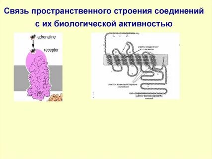 Пространственное строение связей