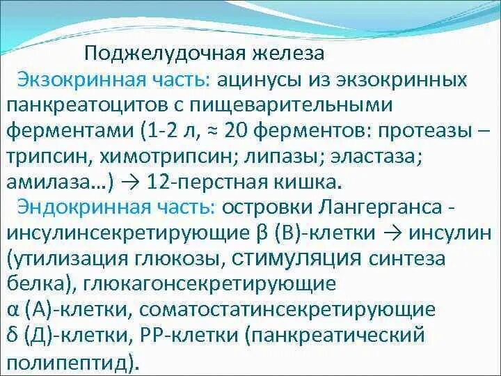 Экзокринная часть поджелудочной железы гистология. Панкреатическая эластаза кала. Норма панкреатической эластазы. Эластаза поджелудочной железы.