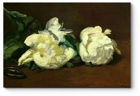 Manet перевод