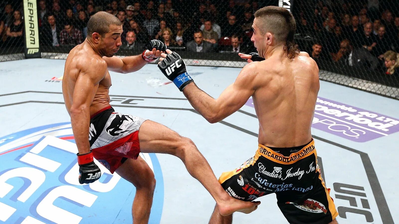 фронт-кик (прямой удар). запрещенные приемы в боксе. фронт кик в кикбоксинге техника. рой джонс затылок. можно ли в боксе бить ногами.