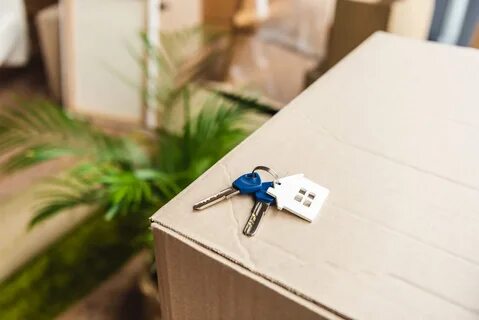 Законопроект о посуточной аренде