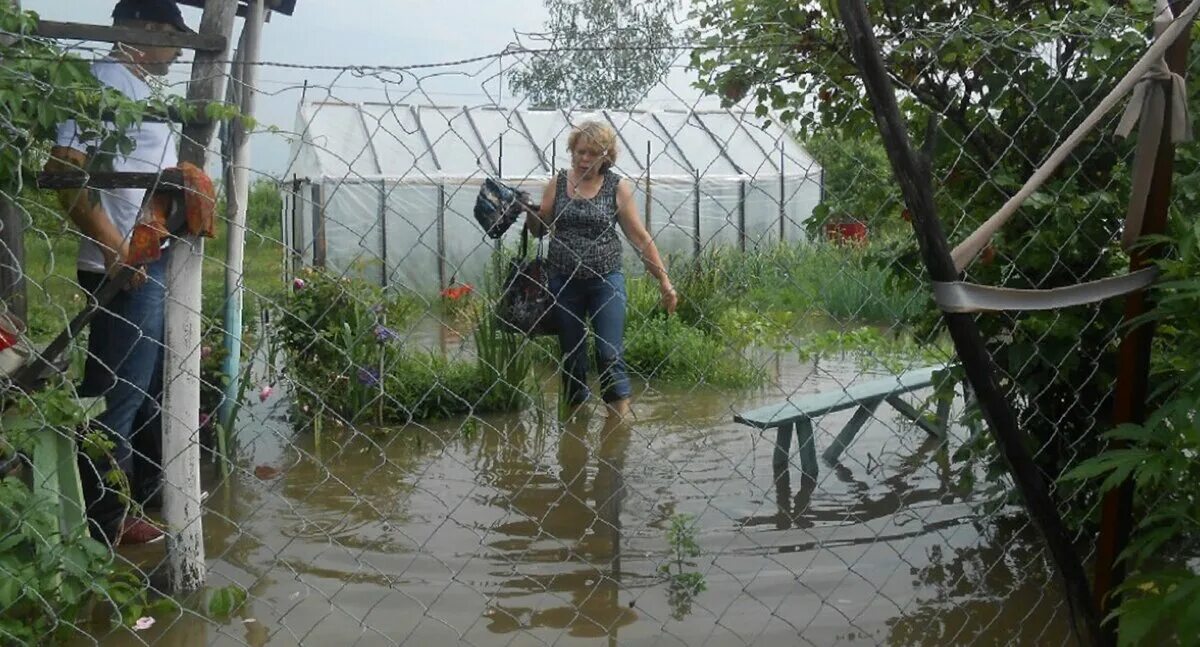 Работают во время дождя. Дождь на даче. Дождь в огороде. Дождик на даче. Летний ливень на даче.