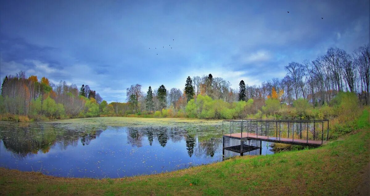 Никольское поле. Пруд село Никольское. Село Никольское парк. Никольское (село, Одинцовский район). Никольское пруд Ленинградская область.