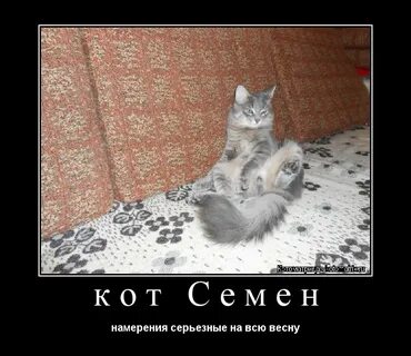 Серьезные намерения