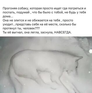 Песня не прогоняй меня мороз хочу