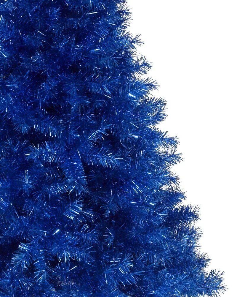Новогодняя елочка голубая. Голубая Новогодняя елка. Синяя елочка Новогодняя. Новогодняя голубая ель.