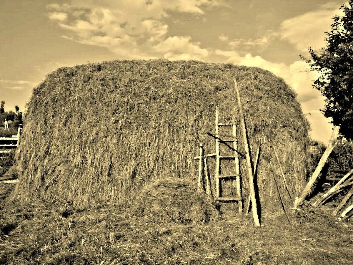 Скирда что это такое. Калязин. скирда. стог.. скирда омёт копна. сенная копна. скирда и зарод.