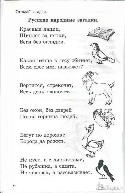 Не куст а с листочками загадка отгадка