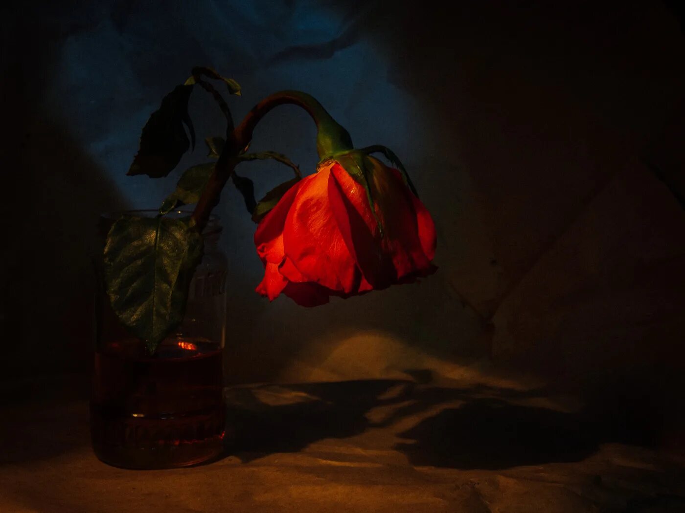 увядшая роза. порванное сердце цветок. шариф камал "увядший цветок". завянут розы завянет любовь. девушка с цветами.