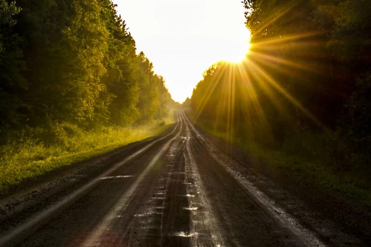 Путь картинка. «Дорога к солнцу» Кима Брейбурга. Солнечная дорога. Солнце на дороге. Утро дорога.
