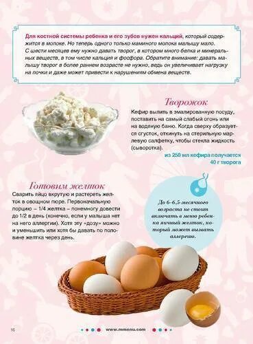 Как давать яйцо ребенку год. Как давать яйцо ребенку год