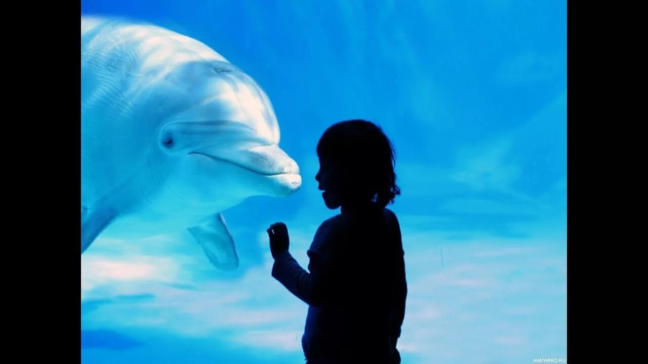 Дельфины для детей. Дети дельфинов.