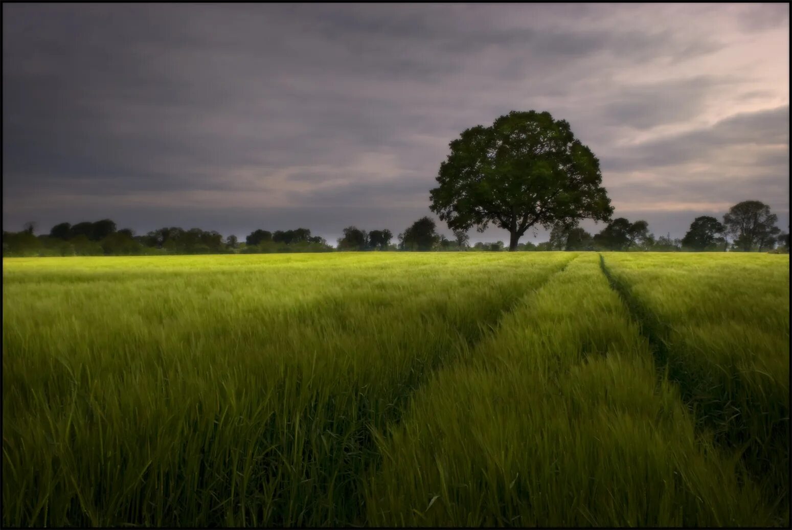 Best time of year to go. Best time. the best time to plant a tree quote. proverb tix. what is a proverb.