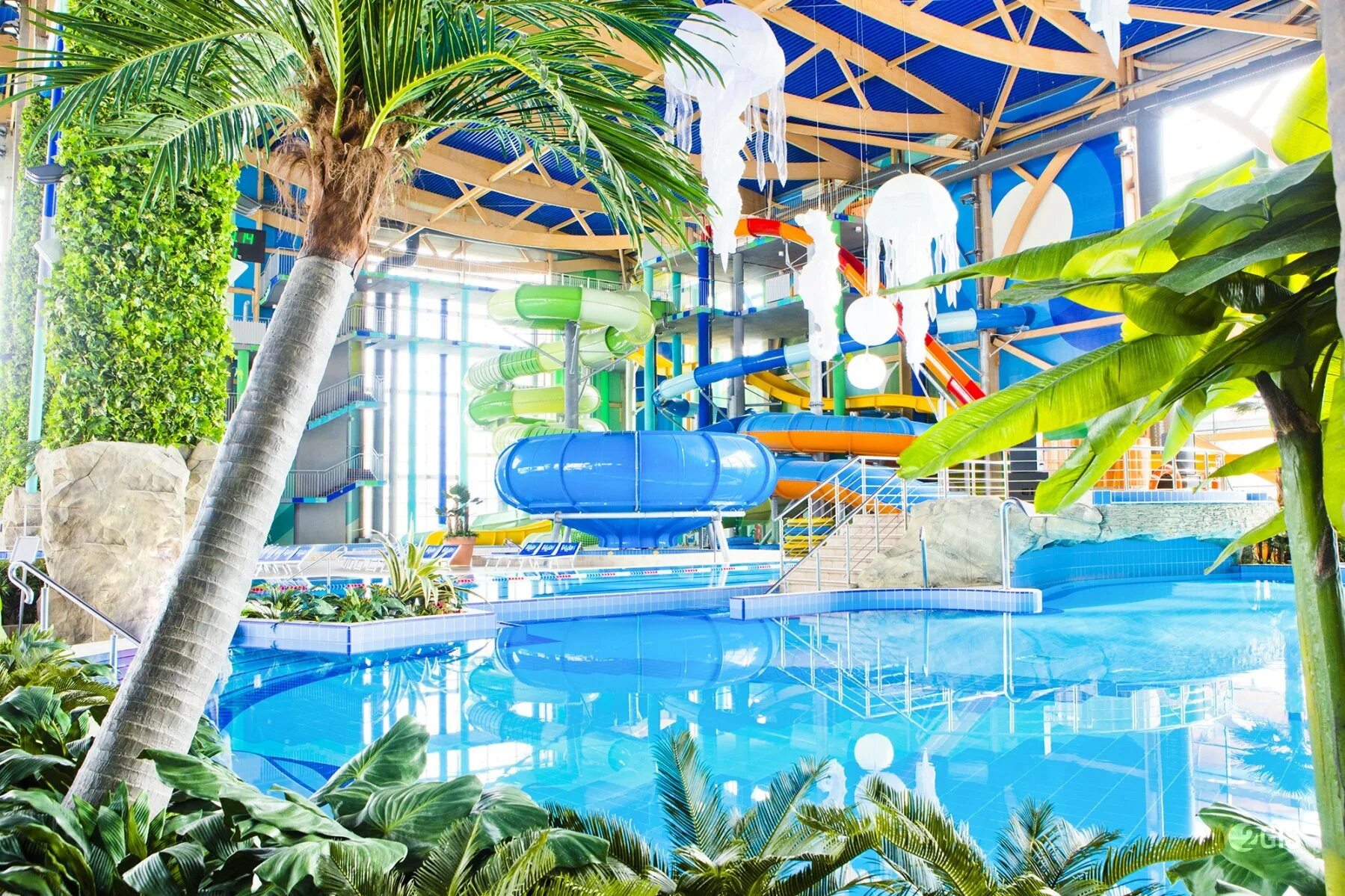 Аквапарк н2о в ростове на дону. Аквапарк н2о в ростове на дону. Ростовский аквапарк h2o. H2o ростов на дону режим работы. H2о россия ростов-на-дону аквапарк.