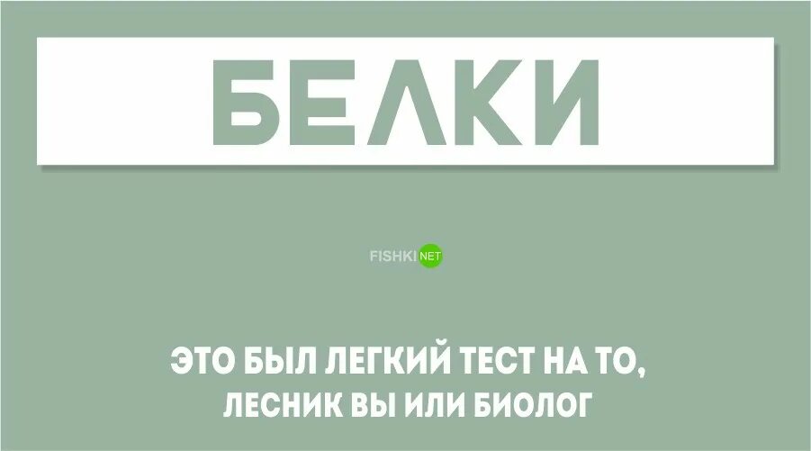 Сучке легко. Легкий тест. Легкий тест на то. Это был легкий тест на то. Легкий тест картинка.