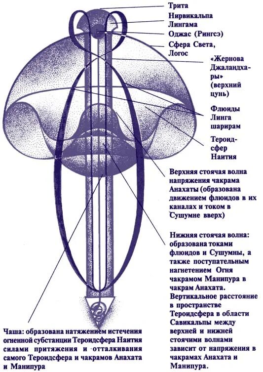 Калагия книга. Лингама схема. Калагия. Линга шарира (тонкое тело). Тероидсфер наития.