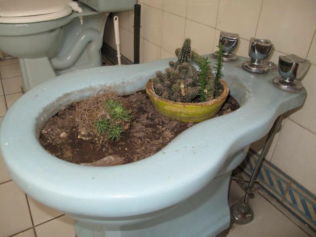 Не дать беде