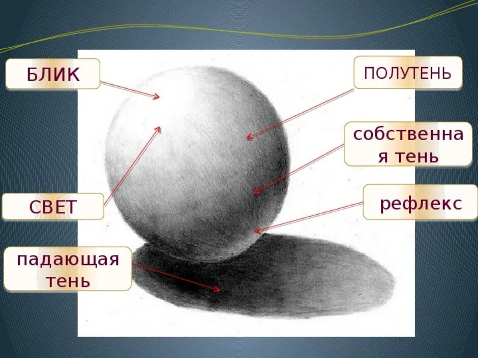 Между свет м и тенью. Тени полутени рефлексы блики. Градация светотени на шаре. Тени предметов. Градации светотени в живописи.