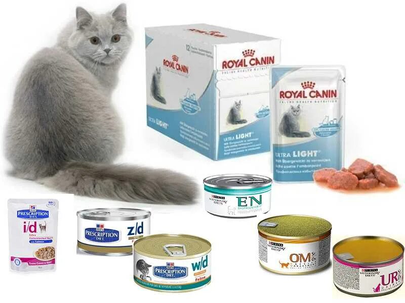 Корм для кошек для печени. Royal Canin консервы лечебные. Гепатик для кошек консервы. Лечебное питание для кошек. Корма для кошек при заболевании.