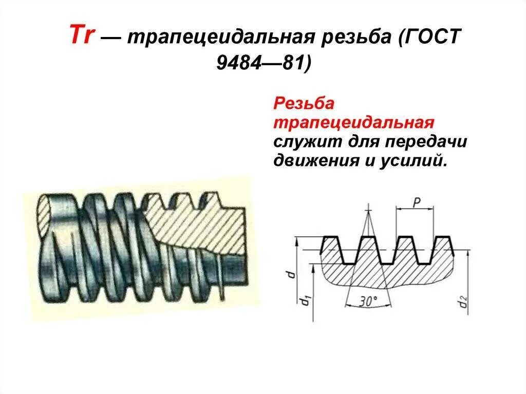 Гост трапециевидные. Резьба трапецеидальная tr100. Резьба трапецеидальная двухзаходная ГОСТ 9484-81. Трапецеидальная резьба 40х6. Трапецеидальная резьба шаг 6.