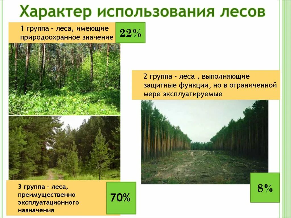 Лесная промышленность.9 класс география. Группы лесов лесного фонда. Лесная промышленность России 9 класс. Защитные леса эксплуатационные леса. Какие есть группы лесов