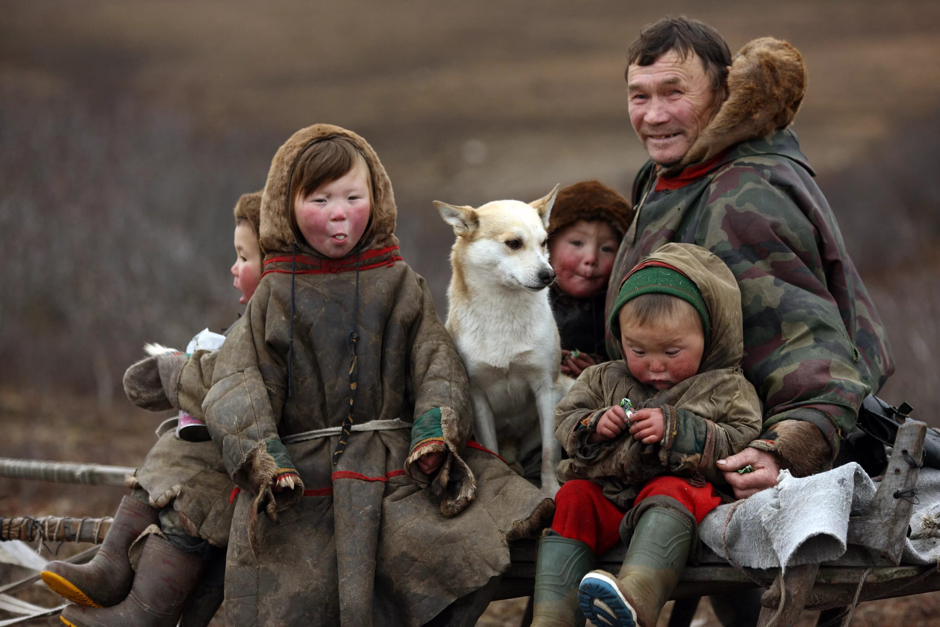 Ненцы люди. Ненцы-оленеводы кочевье. Ненцы и чукчи. Ненцы в тундре. Ямал тундра ненцы.