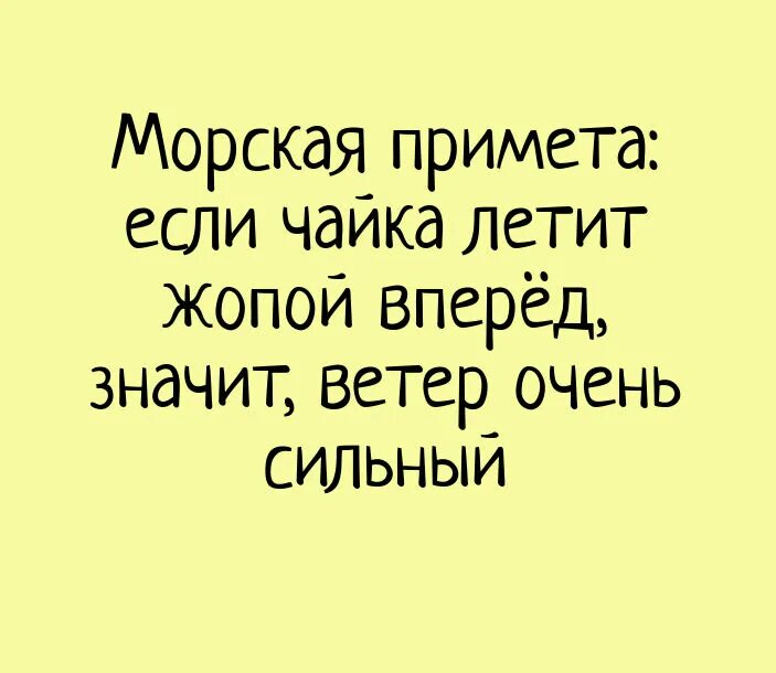 Ветер был очень слабый но все таки. Морская примета если чайка летит. анекдоты про ветер смешные. смешные высказывания про сильный ветер. анекдоты про сильный ветер.