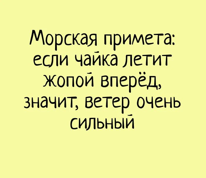 Фразеологизм давать очко вперед. Анекдоты про ветер смешные. Смешные высказывания про сильный ветер. Цитаты про ветер смешные. Морская примета если Чайка летит.