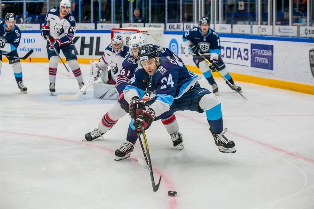 Кхл сибирь. Континентальная хоккейная лига сибирь. Хоккеисты новосибирска. Хк сибирь фото. Прогноз на хоккей сибирь.
