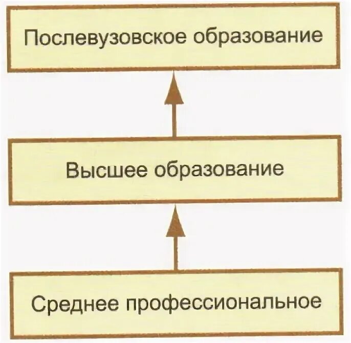 Ступени образования в истории. Ступени образования обществознание. уровни образования обществознание. ступени образования обществознание 6 класс.