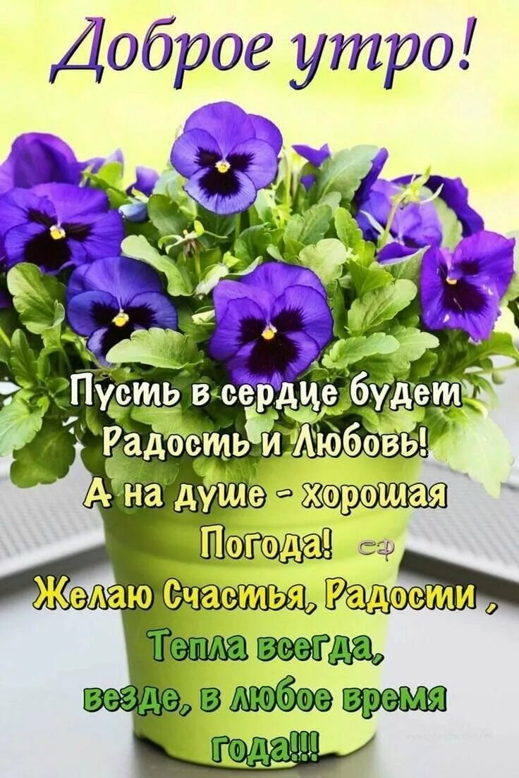 Пожелания добра и божьих благословений. Христианские пожелания с добрым утром. Доброе утро благословенного дея. Открытки с добрым. Православные поздравления с добрым утром.