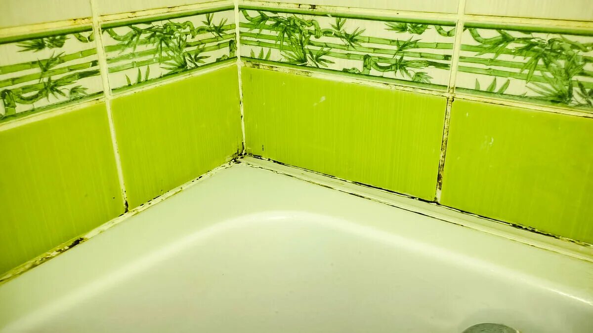 сырость в ванне. сырость в ванне. банный грибок. очистка паром грибка в ванной. сырость в ванне.