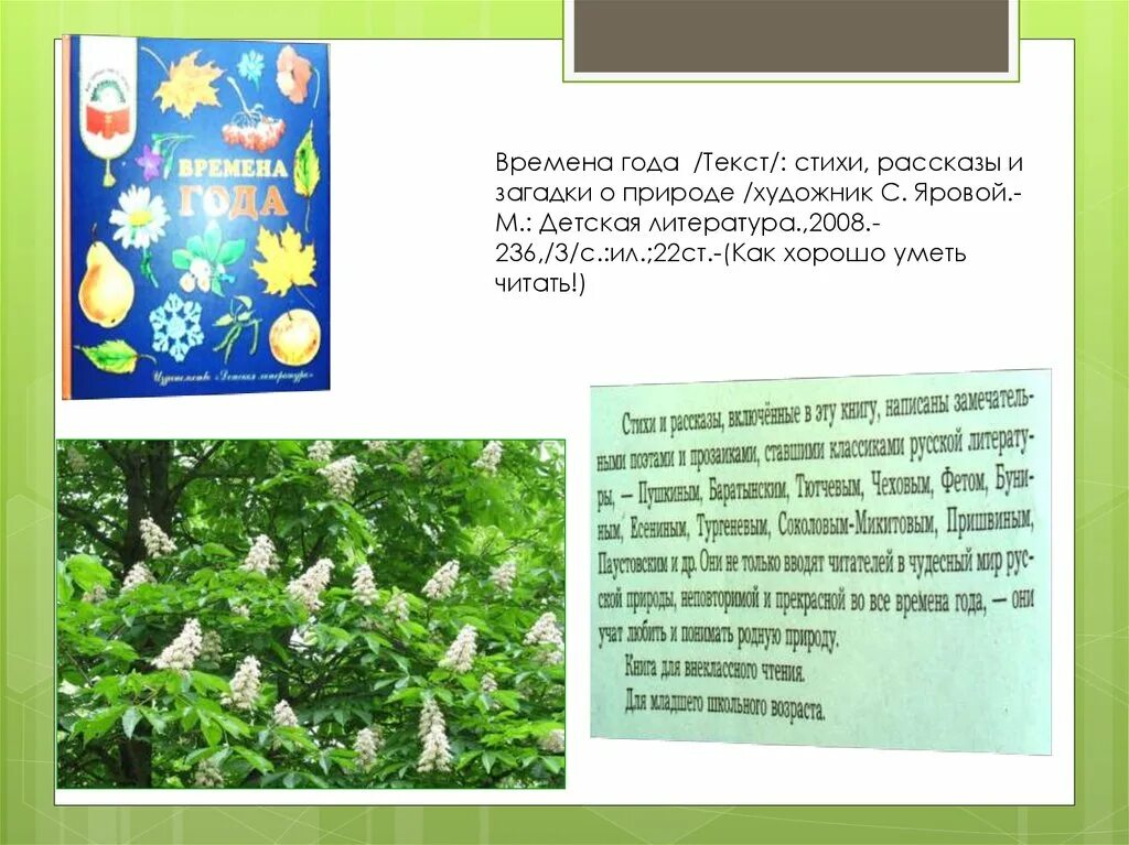 Времена года текст. Рассказы загадки о природе. Времена года стихи рассказы и загадки о природе. Времена года слова. Текст на лето 6 класс