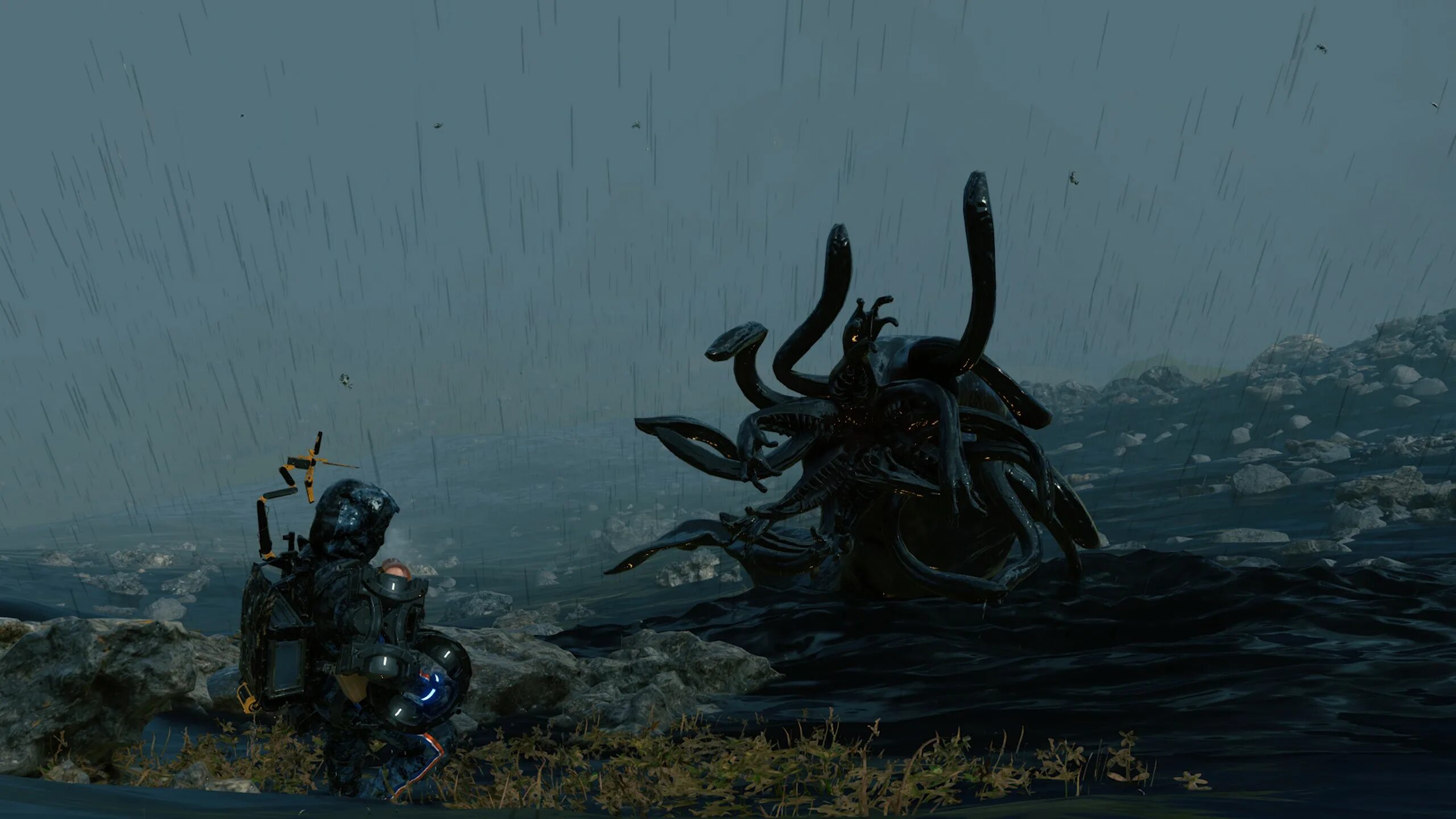 Ark survival evolved кракен. Кракен остров. Академия кракена владимир. Пещера кракена фото. Кракен арк.