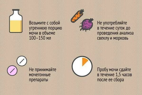 Общий анализ мочи что нельзя есть. Что нельзя есть перед анализом мочи. что нельзя кушать перед сдачей анализа мочи. что кушать перед сдачей анализов мочи. перед общим анализом мочи что нельзя.