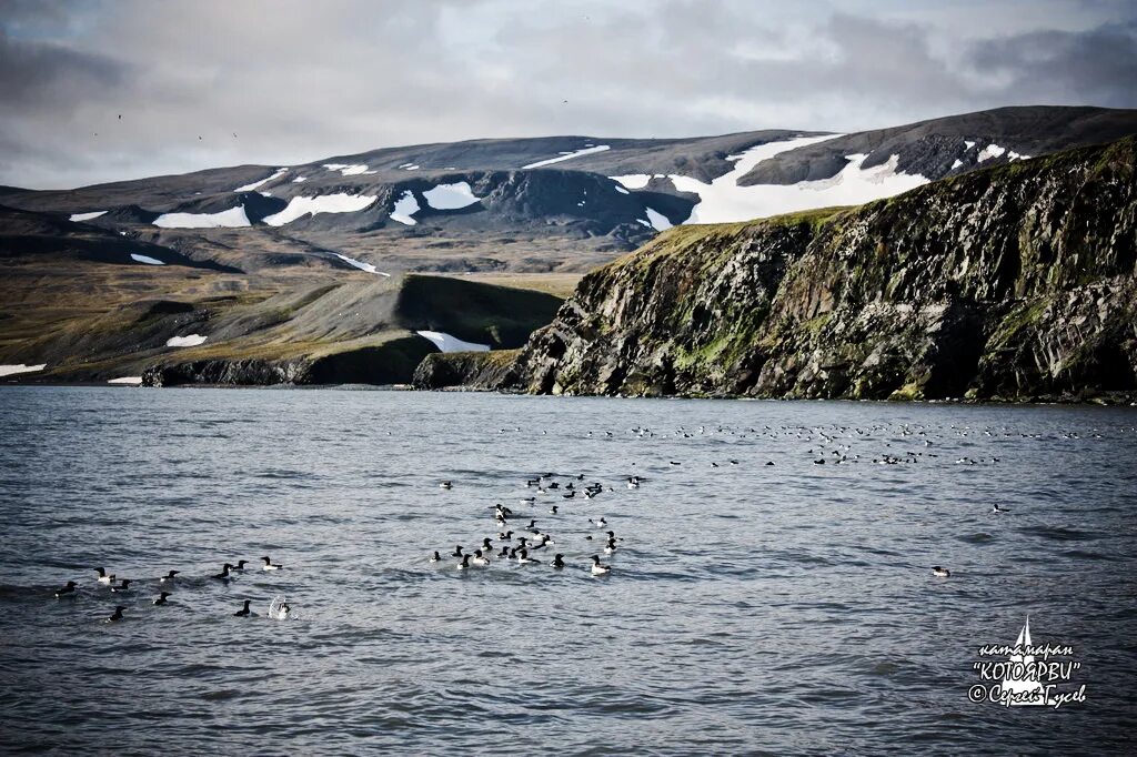 остров новая земля поселок белушья губа. архангельск остров новая земля. новая земля архангельская область. поселок русская гавань новая земля. исследование новых земель.